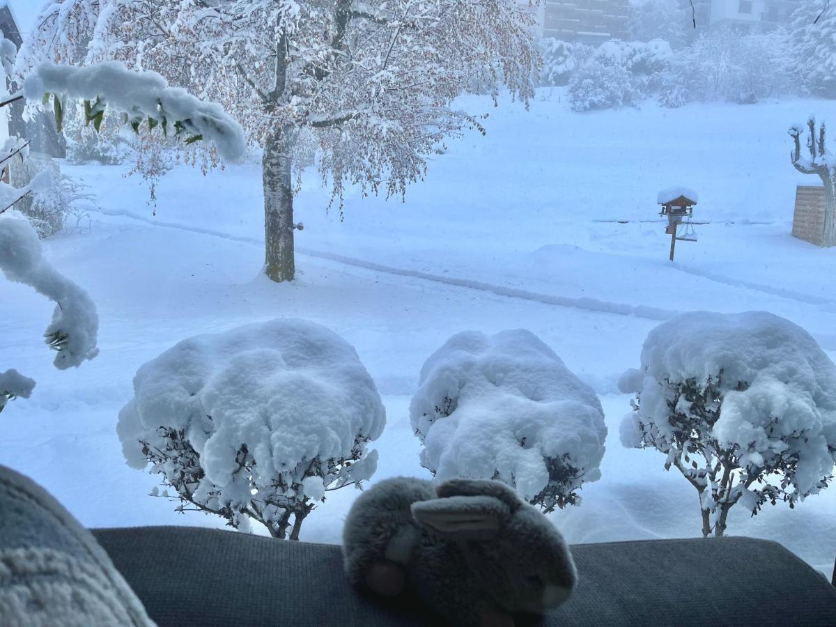 Magnifique Maison Pres Du Centre Nendaz Bagian luar foto