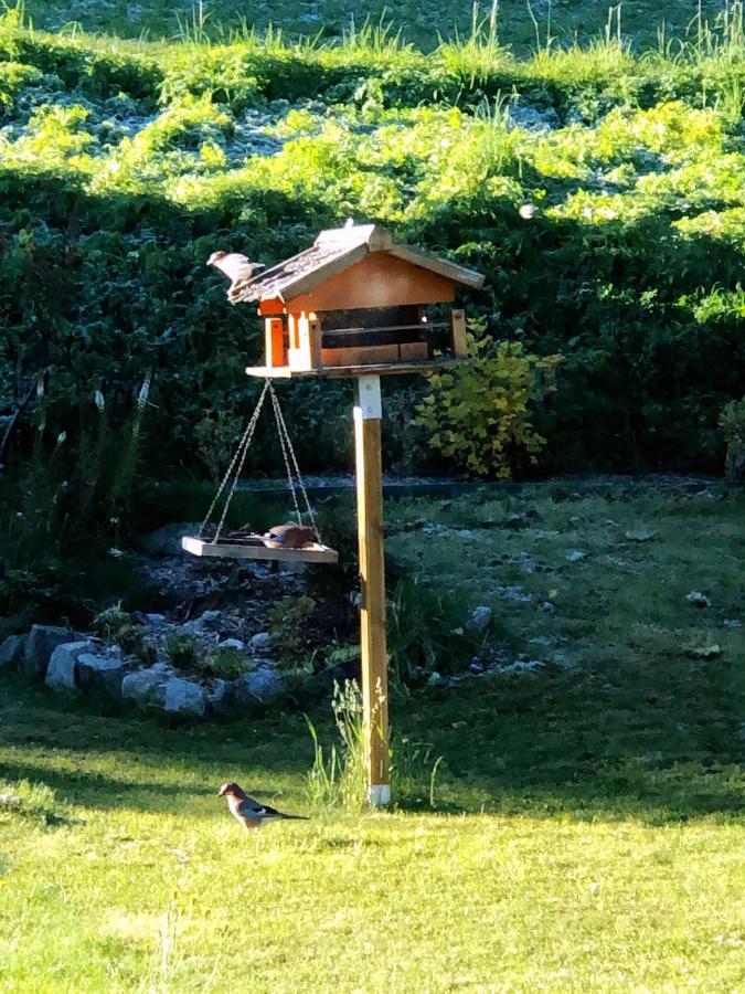 Magnifique Maison Pres Du Centre Nendaz Bagian luar foto